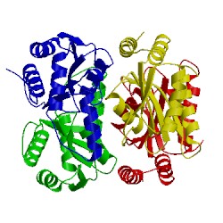 Image of CATH 5d5p