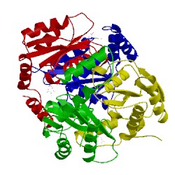 Image of CATH 5d5q