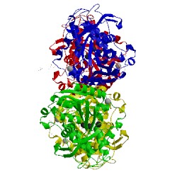 Image of CATH 5d6o