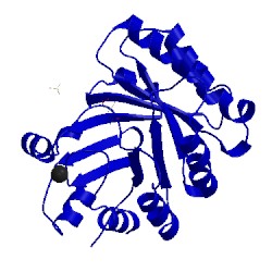 Image of CATH 5d6t