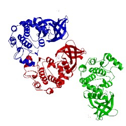 Image of CATH 5d7a