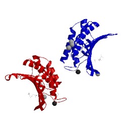 Image of CATH 5d7d