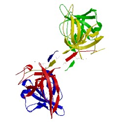 Image of CATH 5d8e