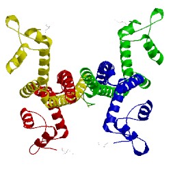 Image of CATH 5d90