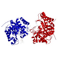 Image of CATH 5d9m