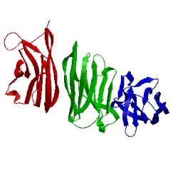 Image of CATH 5da4