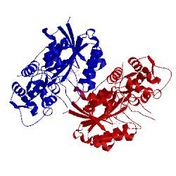 Image of CATH 5dbf