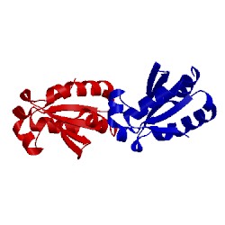 Image of CATH 5dbq