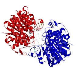 Image of CATH 5dc6