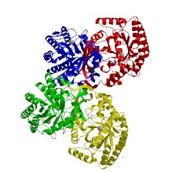 Image of CATH 5dcb