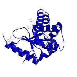 Image of CATH 5dch