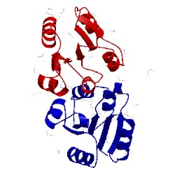 Image of CATH 5dcl