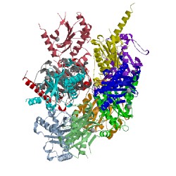 Image of CATH 5dcx