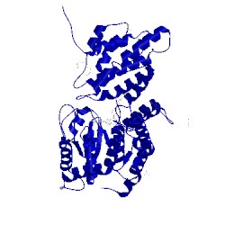 Image of CATH 5dde