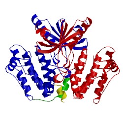Image of CATH 5de2