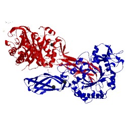 Image of CATH 5dez