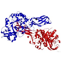 Image of CATH 5df0