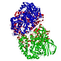 Image of CATH 5dfa