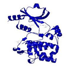 Image of CATH 5dfp