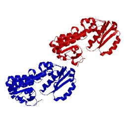 Image of CATH 5dh0