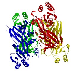 Image of CATH 5dht