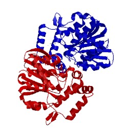 Image of CATH 5dj5