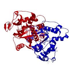 Image of CATH 5dk5