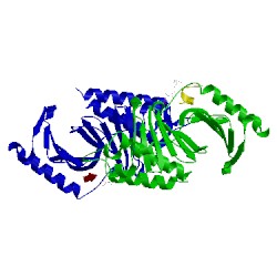 Image of CATH 5dms