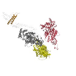 Image of CATH 5dn6