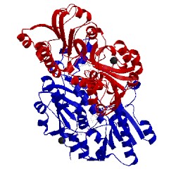 Image of CATH 5dn9