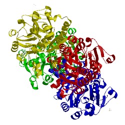 Image of CATH 5dna