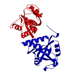 Image of CATH 5dnp