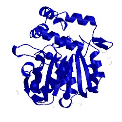 Image of CATH 5dnu