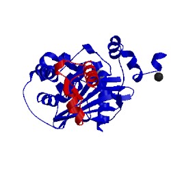Image of CATH 5dob