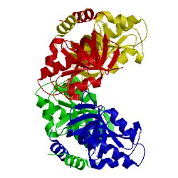 Image of CATH 5dof