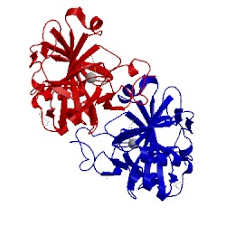 Image of CATH 5doh