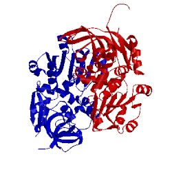 Image of CATH 5dov