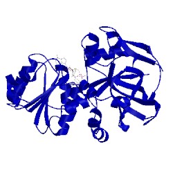 Image of CATH 5dp2