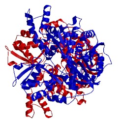 Image of CATH 5dpd