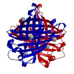 Image of CATH 5dph