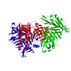 Image of CATH 5dqc