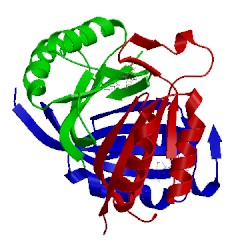 Image of CATH 5drk