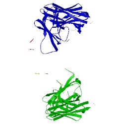 Image of CATH 5drn