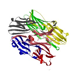 Image of CATH 5ds2