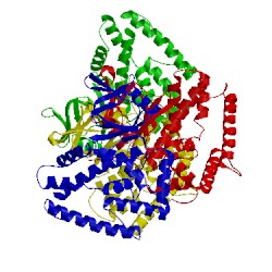 Image of CATH 5ds4