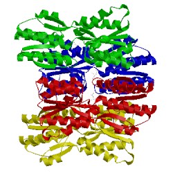 Image of CATH 5dte