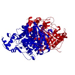 Image of CATH 5dti