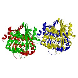 Image of CATH 5dts
