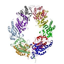 Image of CATH 5dvb