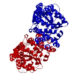 Image of CATH 5dvj